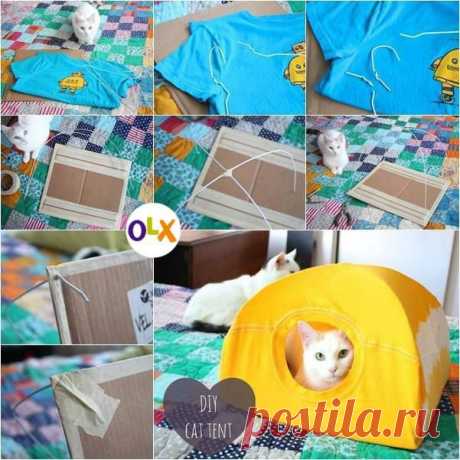 Сделайте кота счастливым