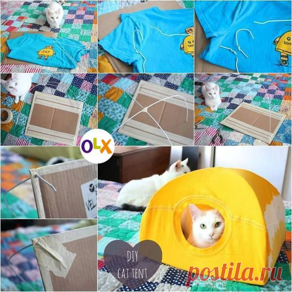 Сделайте кота счастливым