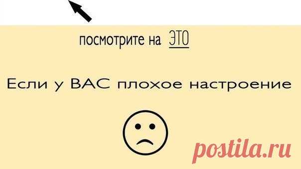 Мой Мир@Mail.Ru