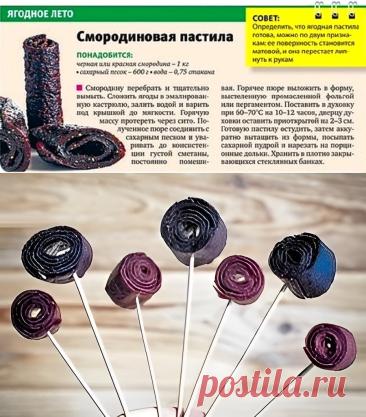 Смородиновая пастила