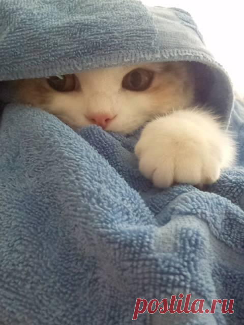 !