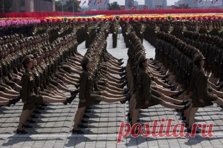 ФотоТелеграф » Девушки в армии в разных странах мира