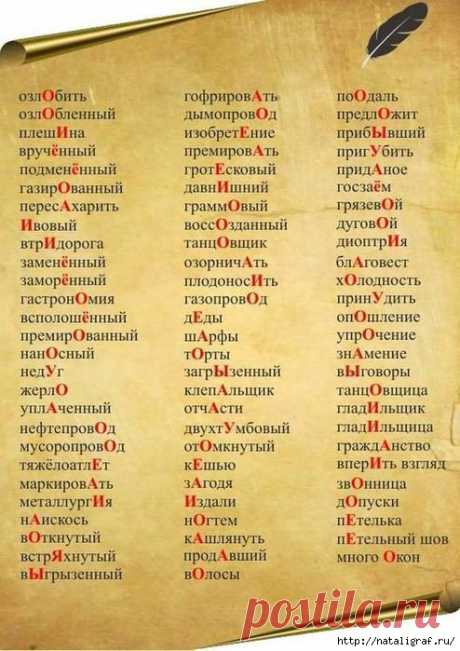 130159331_4045361_105562099_4045361_1234347_523702544373163_616843036_n.jpg (494×699)