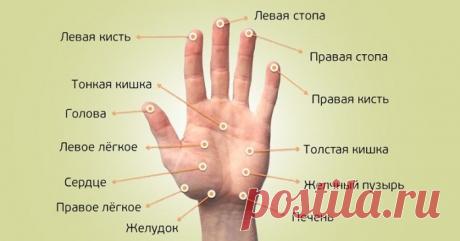 Каждый палец сопряжен с двумя органами: японский метод излечит за 5 минут любую хворь! — МИР ВОКРУГ