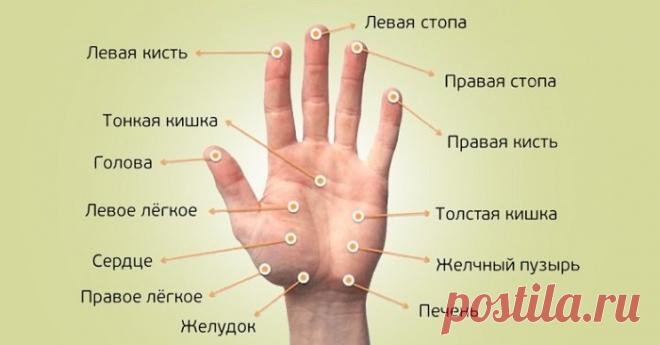 Каждый палец сопряжен с двумя органами: японский метод излечит за 5 минут любую хворь! — МИР ВОКРУГ
