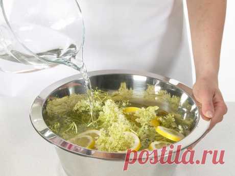 Holunderblütensirup selber machen - so geht's | LECKER