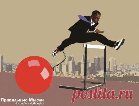 Современная система образования, как верно подметила Долорес Амбридж, направлена не на практическое применение знаний в жизни, а на успешную сдачу экзаменов. / Восприятие бизнеса