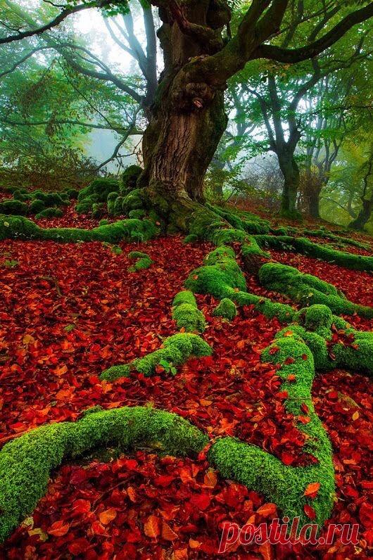 Pour Le Plaisir Des Yeux