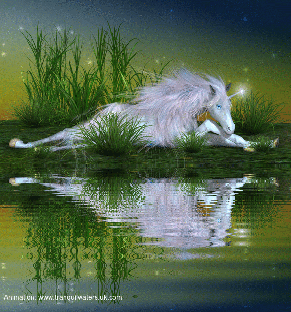 newimage3.gif (600×643)
