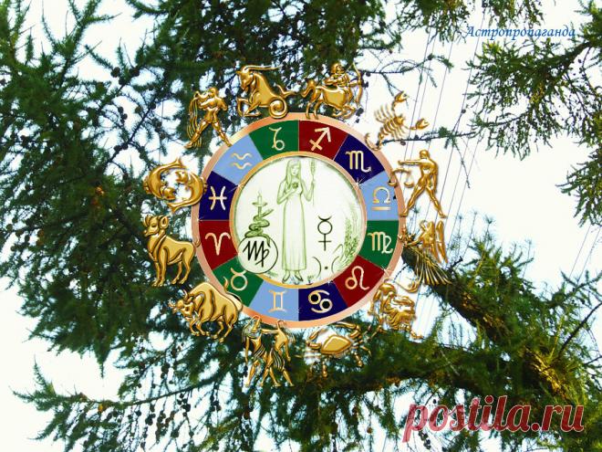 Преодоление препятствий. Гороскоп для Девы с 31 августа по 4 октября 2020 | Астропропаганда | Яндекс Дзен
♍✨ Автор: астролог Нина Стрелкова. ✧ Время больших притязаний, желания заявить о себе, стать на более высокую ступень в общественном положении. Достижения возможны, но придется преодолевать многочисленные тайные и явные препятствия. Не исключено агрессивное отношение к вам, как к представителю какой-то группы людей. Но возможна и поддержка, в том числе материальная.
