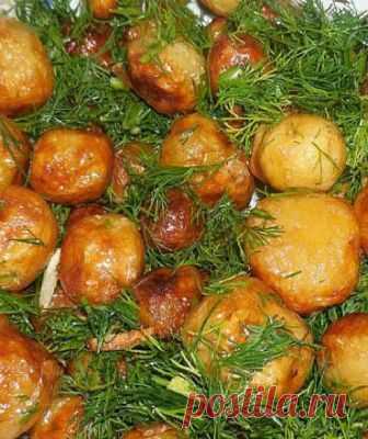Хочется расцеловать человека, который придумал такое совершенное вкусовое сочетание: укроп + чеснок + картофель!
