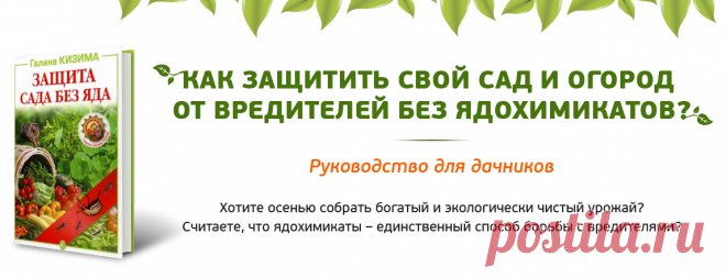 Защита сада без яда