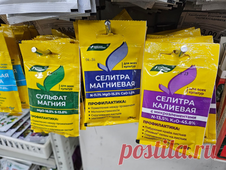 7 копеечных средств для комнатных цветов: что стоит купить, чтобы растения были как с картинки | Антон - цветочник | Дзен