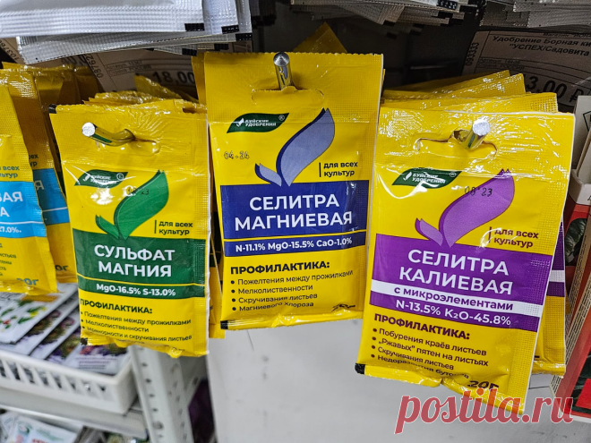 7 копеечных средств для комнатных цветов: что стоит купить, чтобы растения были как с картинки | Антон - цветочник | Дзен