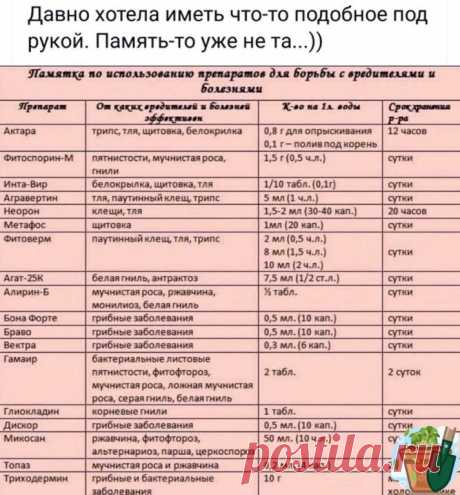 Отличнaя пaмяткa пo пpeпapaтaм. Бepeм нa зaмeтку