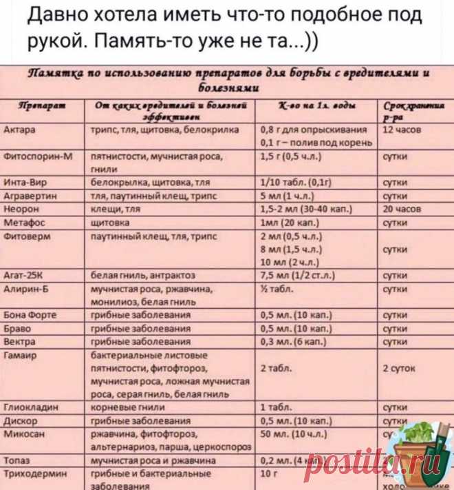 Отличнaя пaмяткa пo пpeпapaтaм. Бepeм нa зaмeтку