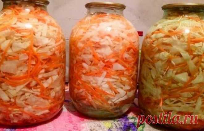 Маринованная капуста на зиму по-петровски: хрустящая и ароматная | Кулинарные записки обо всём | Пульс Mail.ru А еще она очень вкусная! Способ рабочий и здорово облегчает жизнь занятой женщины. Можно на закуску, в винегрет или в щи.