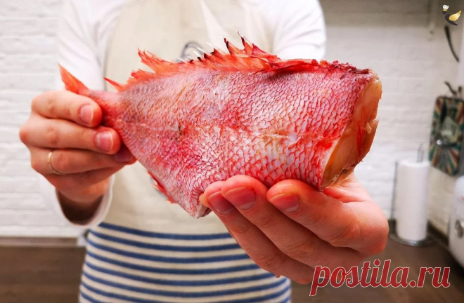 Рецепт очень вкусного блюда окунь «по-новгородски», так его подают в ресторане | MEREL KITCHEN | Пульс Mail.ru Недавно я открыл для себя очень интересный рецепт приготовления окуня 