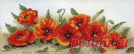 Вышивка крестом, схемы Панель вертикальная маковая Spray of Poppies