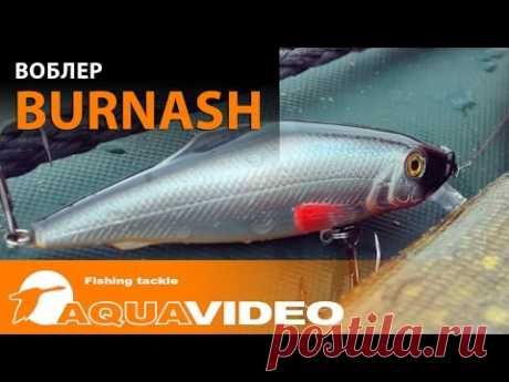 Российский воблер Aqua Burnash - по специальной цене!