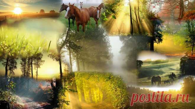 Բարի Արեւածագ եւ մայրամուտ Բարի...

Բարի առավոտ, հայություն...ամենաերջանիկ օրը ձեզ: Հետաքրքիր է, բայց ուզում է բարի լինի, ուզում է վատ լինի, միևնույն է ասում ենք "Բարի առավոտ": Իհարկե օրվա ընթացքում շատ մարդկանց մոտ տրամադրությունը փոխվում է, լավանում, վատանում, միգուցե և մնում հաստատուն, բայց առավոտվա բարիությունն ու մաղթանքները նույնն են մնում ^_^
Բարի օր բոլորիս...