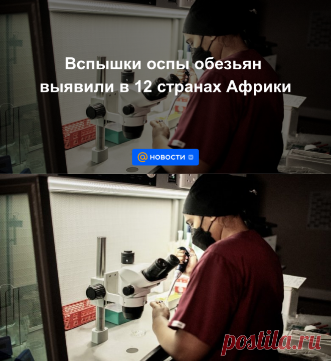 2-7-22-Вспышки оспы обезьян выявили в 12 странах Африки - Новости Mail.ru