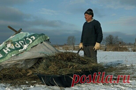 Фильм режиссера Алмаза Нургалиева из Татарстана получил признание на фестивалях. Документальный фильм «Между семью островами» режиссера Алмаза Нургалиева из Татарстана получил признание на различных фестивалях. Картина повествует об отшельнике Габдулле Хайбуллине, который в середине XX века остался жить в деревне Семиострово вместе с матерью, несмотря на опасность затопления населенного пунтка.