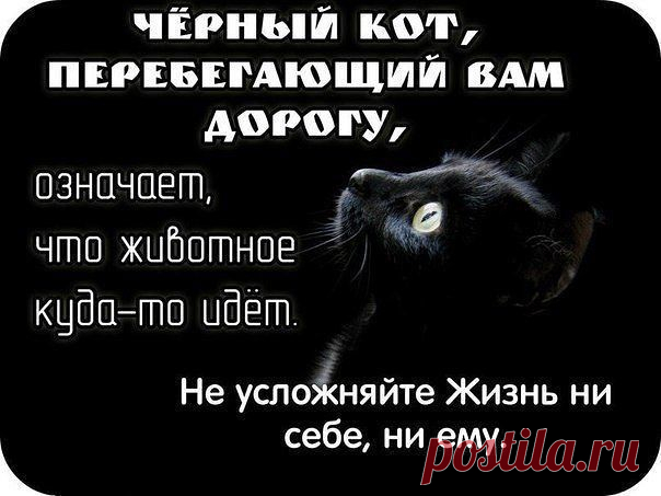 Женские мысли