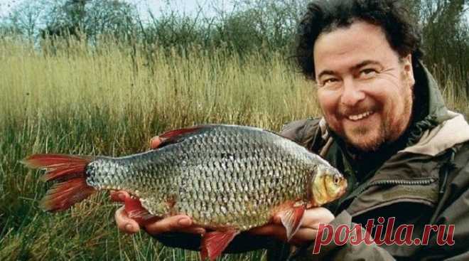 10 советов для ловли плотвы огромного размера