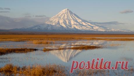 Камчатка. Кроноцкий заповедник и его обитатели. Сопка. Ч.9.