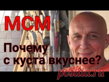 Чудо МСМ. Органическая сера
