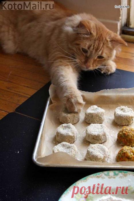 Отличный помощник на кухне!