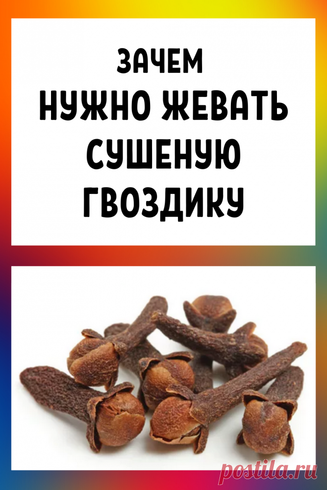 Зачем нужно жевать сушеную гвоздику