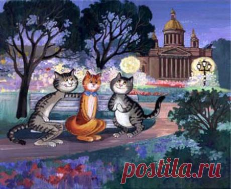 питерские коты - Поиск Google