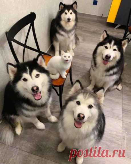 Квинтет