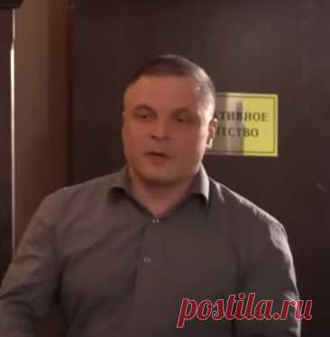 Детективы: Пропала мама, кот и собака, Смерть приходит в красном