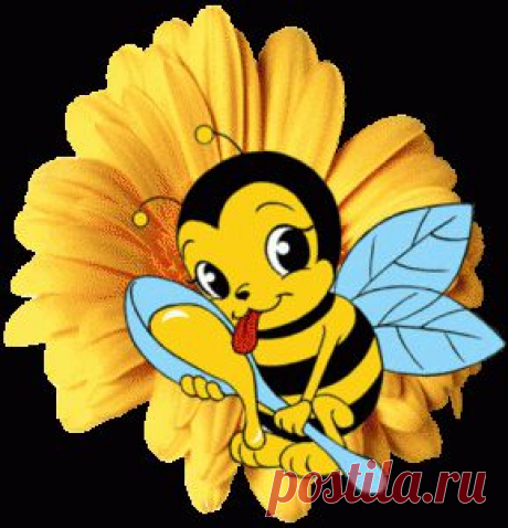 Медовый лечебник для женщин | Леди - Берегини