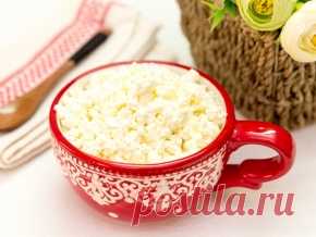 Домашний творог из молока и кефира
