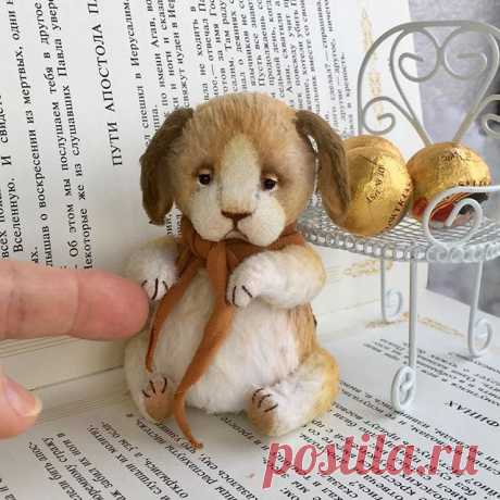 🙋🏼Как вы относитесь к Мастер классам? Признаюсь, я очень люблю Мастер классы, но.... не люблю спешку, а на очных МК она неизбежна!🤪Поэтому мой выбор - он-Лайн пошивы и электронные мк!🤗❤️ Милый пёсик 9,5см - результат работы с Тасей @triplushki и Наташей @neteli_kl  #мастеркласс #triplushki_love #triplushki_mk #dog #handmadedog #staffedtoy #staffedanimal  #teddy #teddydog #puppet #amazingpuppy #our_golden_hands #master_of_his_craft #ooakart #ooak #mycreative_world #1_ha...