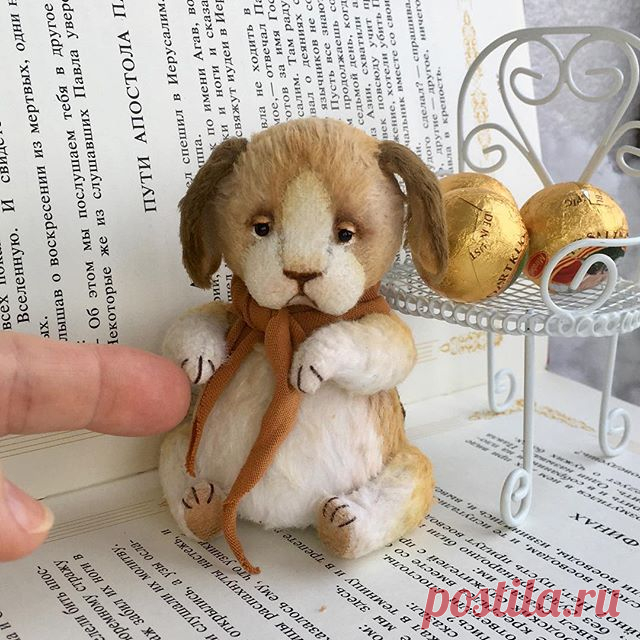 🙋🏼Как вы относитесь к Мастер классам? Признаюсь, я очень люблю Мастер классы, но.... не люблю спешку, а на очных МК она неизбежна!🤪Поэтому мой выбор - он-Лайн пошивы и электронные мк!🤗❤️ Милый пёсик 9,5см - результат работы с Тасей @triplushki и Наташей @neteli_kl  #мастеркласс #triplushki_love #triplushki_mk #dog #handmadedog #staffedtoy #staffedanimal  #teddy #teddydog #puppet #amazingpuppy #our_golden_hands #master_of_his_craft #ooakart #ooak #mycreative_world #1_ha...