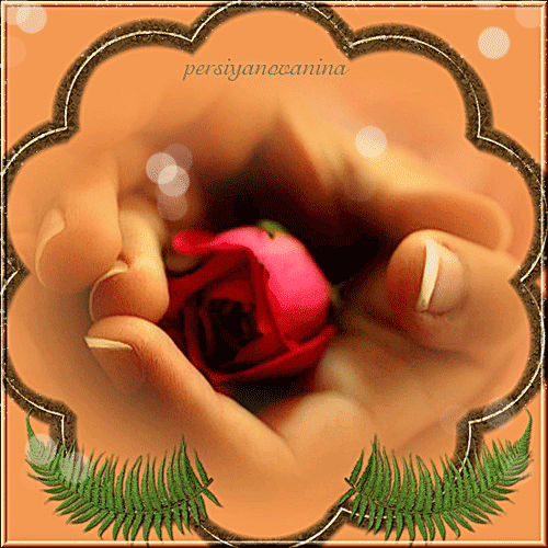 Плейкаст «Эти розы для тебя!!!»