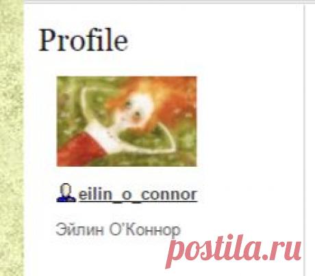 Эйлин О'Коннор - Десять вещей, которые каждый кошатник должен сделать со своим котом