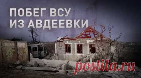 «Мы пришли защищать народ»: бойцы ВС РФ работают в Авдеевке после побега ВСУ. Во время боёв за Авдеевку украинским военным пришлось спасаться бегством от натиска ВС РФ. При отступлении ВСУ усеяли город минами, бросили тяжёлую технику и оставили трупы погибших сослуживцев. Российские бойцы расчищают улицы от мин и собирают тела боевиков, а также мирных жителей, убитых украинскими силами. Авдеевку продолжают обстреливать, так противник мстит за потерю города. Подробнее — в материале военного…