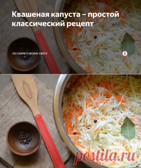Квашеная капуста – простой классический рецепт | По Секрету Всему Свету | Яндекс Дзен