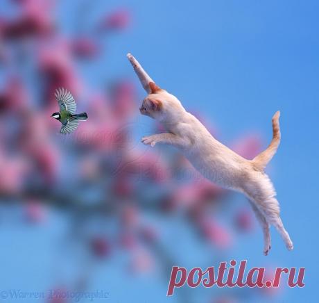 25 фотографий, поражающие тем, насколько вовремя они сделаны