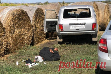 МВД показало фотографию с задержания напавшего на отдел полиции в Лисках. Появился кадр с задержания напавшего на отдел полиции в Лисках. Снимок опубликовал Telegram-канал «Раньше всех. Ну почти». На фотографию попал сам задержанный, лежащий на земле в наручниках, и автомобиль, на котором преступник пытался скрыться. Ранее следователи раскрыли личность подозреваемого.