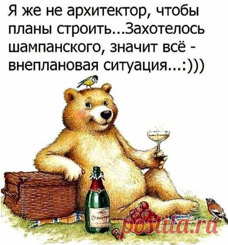 Убойные анекдоты для великолепного настроения – прочтите и увидите, как изменится ваш сегодняшний день - Page 3 of 3 - Ok'ейно.plus