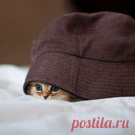 СЛАВЯНСТВО И СИЛА РОДА