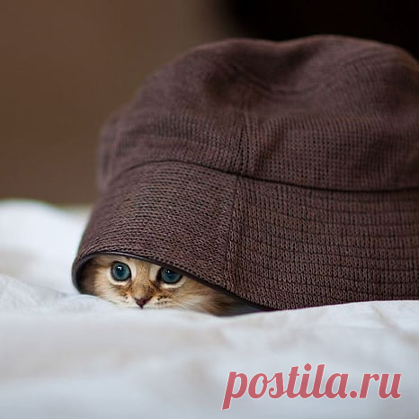 СЛАВЯНСТВО И СИЛА РОДА