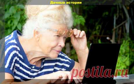 Вступившие в силу и важные изменения в законах касающиеся дачников в 2021 году | Дачные истории | Яндекс Дзен